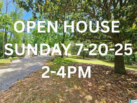 1105 NEWTON ROAD, SPRINGVILLE, AL 35146
