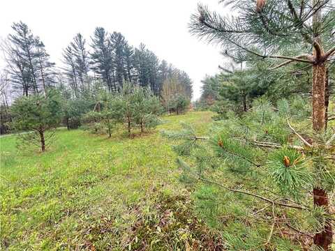 Cr-26, Watson, NY 13367