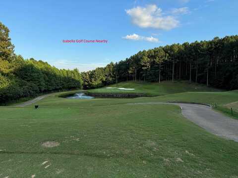 4 ZAFRA LANE, Hot Springs Village, AR 71909