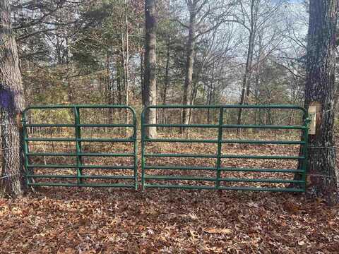 Fawn Ridge Lane, Williford, AR 72482