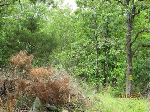0 Larkspur/McGill Rd, Cabot, AR 72023