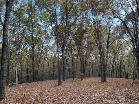 16.33 AC Jackson Ridge, Omaha, AR 72662