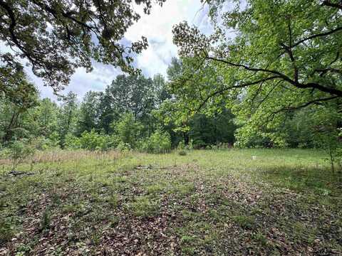 Deal rd, Monticello, AR 71655