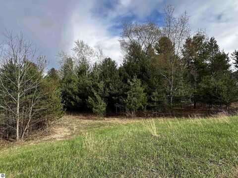 LOT 19 CUSHMAN COURT LOT #19, WILLIAMSBURG, MI 49690