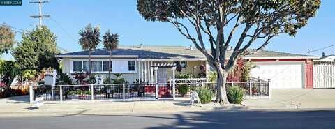 291 Rousseau St, Hayward, CA 94544