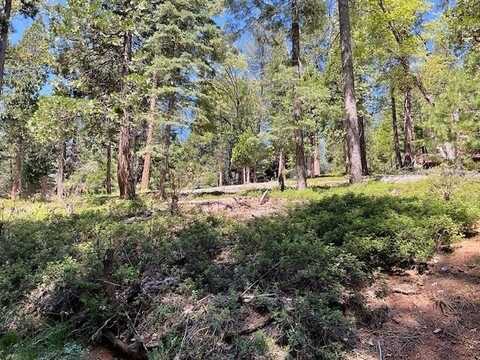 1474 Moran Road, Arnold, CA 95223
