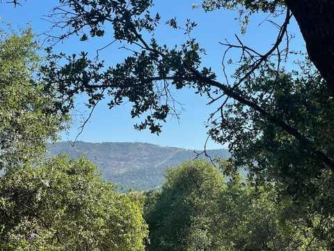 295 Mary Belle Way, Angels Camp, CA 95222