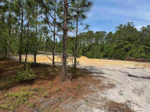 1698 Carriage Dr., Loris, SC 29569