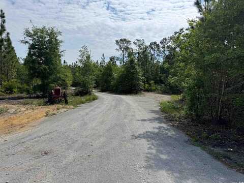 1698 Carriage Dr., Loris, SC 29569