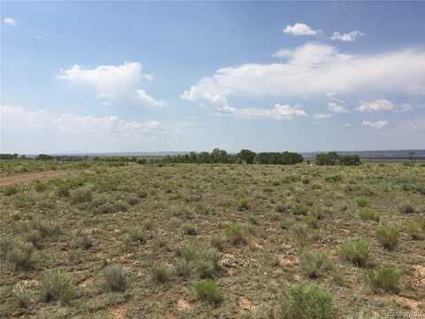 Alamosa River Lane, La Jara, CO 81140