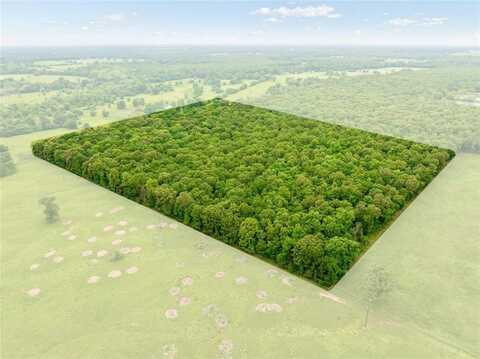 Tbd Farm to Market 194, Blossom, TX 75416