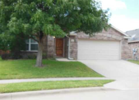 15633 Wheelhorse Trail, Fort Worth, TX 76262
