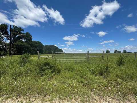 Tbd Lot 1 County Road 4210, Kerens, TX 75144