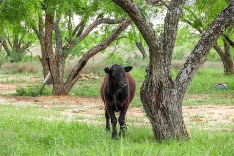 5088 Us-67, Brownwood, TX 76801