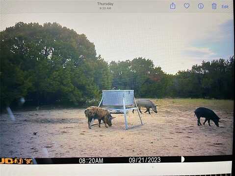 499 County Road 2410, Iredell, TX 76649
