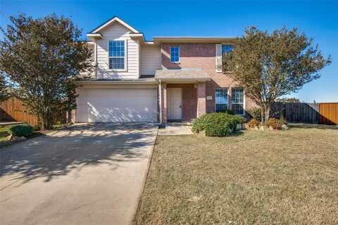 9907 Queen Anne Circle, Frisco, TX 75033