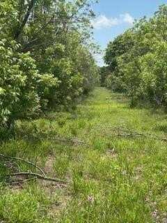 322 County Road 146, De Leon, TX 76444