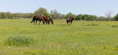 1346b Prairie Grove Road, Valley View, TX 76272