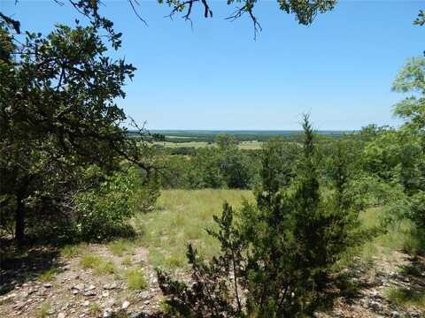 Tbd cr 407, Cross Plains, TX 76443