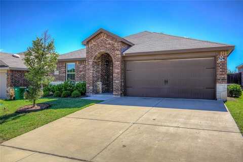 2229 Darner Drive, Fate, TX 75189