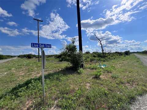 Tbd Lot 36 Live Oak Trail, Clyde, TX 79510