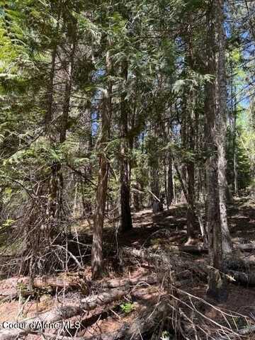 455 Love Lane, Fernwood, ID 83830