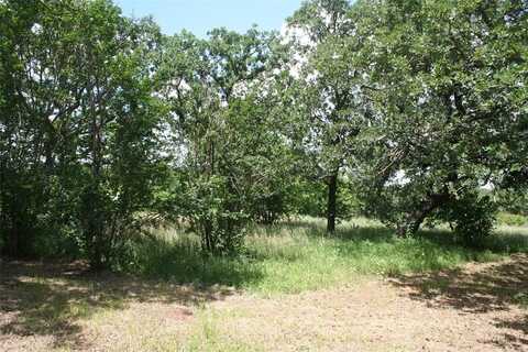 215 Buzbee Road, Palo Pinto, TX 76484