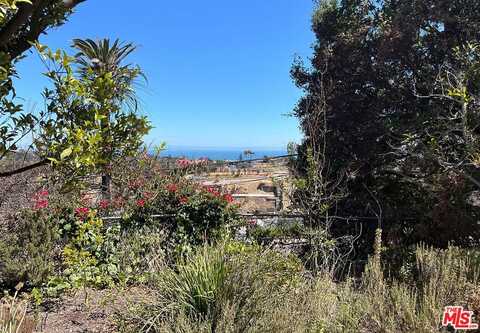 16541 Akron St, Pacific Palisades, CA 90272