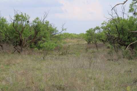 414 County Road 414, Brady, TX 76825