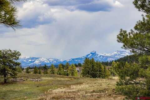 4410 County Rd 359 CO, Pagosa Springs, CO 81147