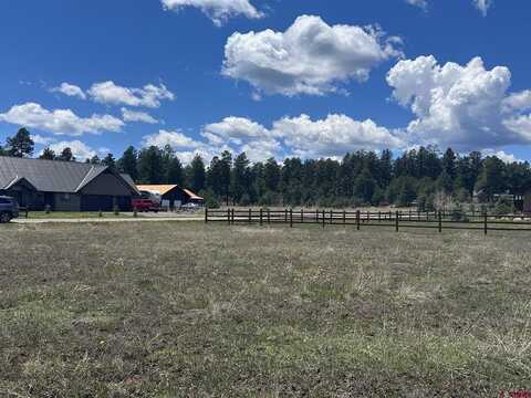59 Saddle Circle, Pagosa Springs, CO 81147