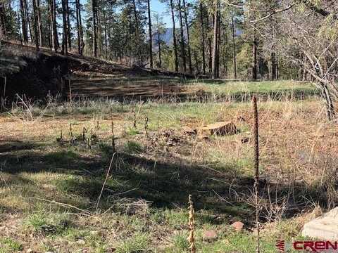 90 George's Court, Pagosa Springs, CO 81147