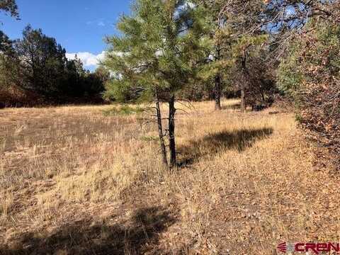 101 George's Court, Pagosa Springs, CO 81147