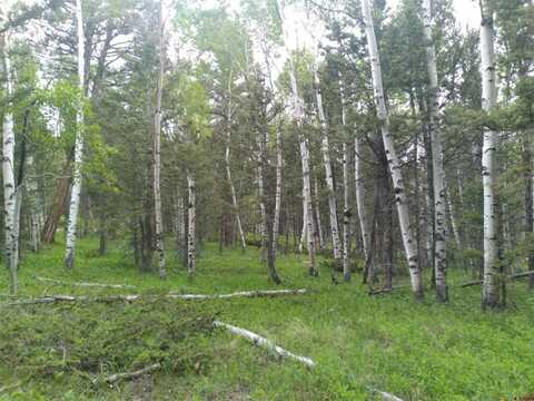 525 Crest Drive, Cimarron, CO 81220