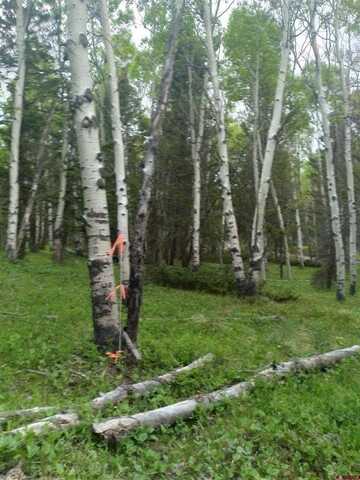 525 Crest Drive, Cimarron, CO 81220