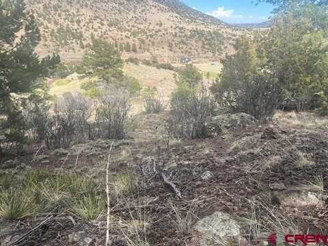 65 Timberline Trail, South Fork, CO 81154