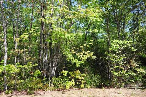 99999 Mountain Falls Trail, Black Mountain, NC 28711