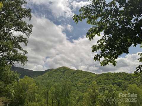 000 Rickman Ridge, Canton, NC 28716