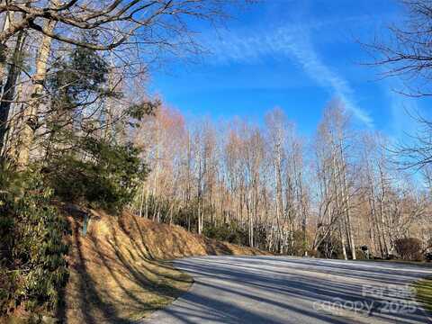 000 Hardwood Summit None, Hendersonville, NC 28739