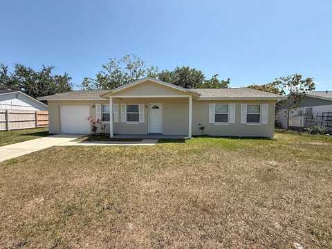 196 Larkspur Ct, Kissimmee, FL 34743
