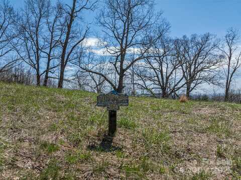 56 Snow Ridge Drive, Hendersonville, NC 28792