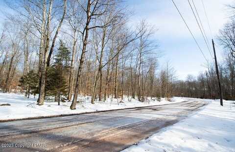 Lot 260 Pontiac Path, Pocono Lake, PA 18347