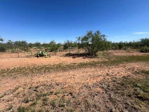 E Moss Lake Rd, Big Spring, TX 79720