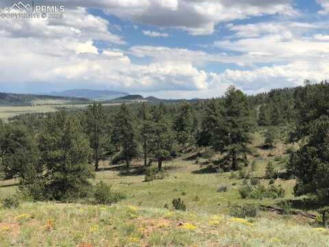 Ouray Road, Hartsel, CO 80449