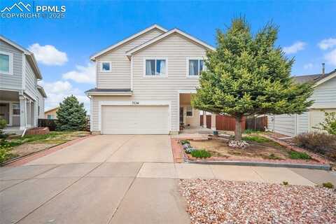 7136 Purple Thistle Court, Colorado Springs, CO 80922