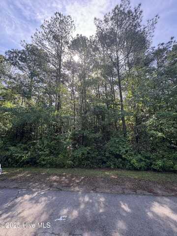 809 Sumac Lane, Vass, NC 28394