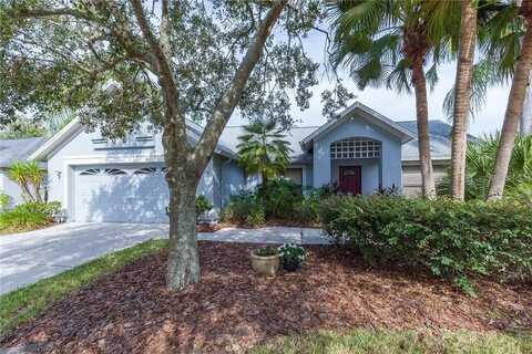 9220 DAYFLOWER DRIVE, TAMPA, FL 33647