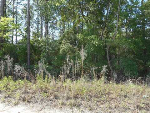 L 43 SW 51st Lane, Dunnellon, FL 34432
