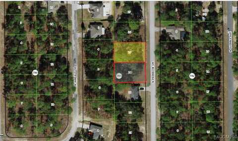 7788 & 7770 N Primrose Drive, Citrus Springs, FL 34434