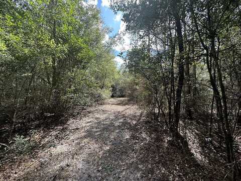 40 Ac Lacey Lane, Crestview, FL 32536